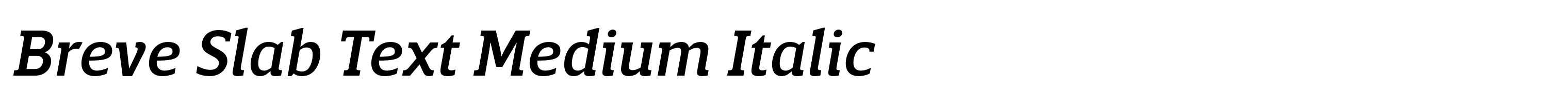 Breve Slab Text Medium Italic